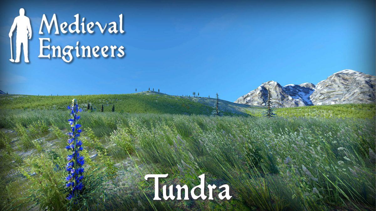 Coming soon in 0.6: New Planet, Biomes and New Resources! | Medieval ...