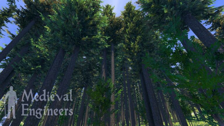 Wallpaper Planet Forests | Media