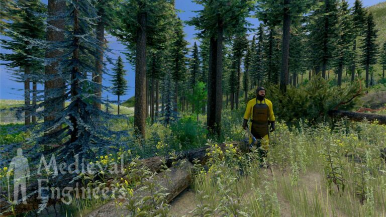 Wallpaper Resources Logging | Media