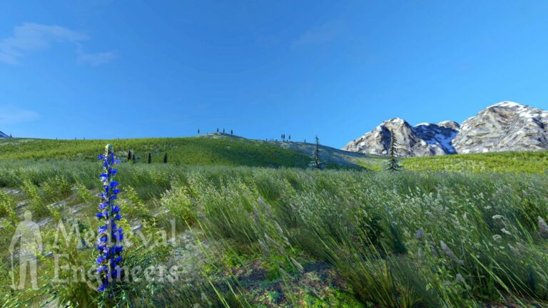 Wallpaper Tundra | Media