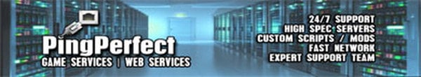 ping | Server Hosting